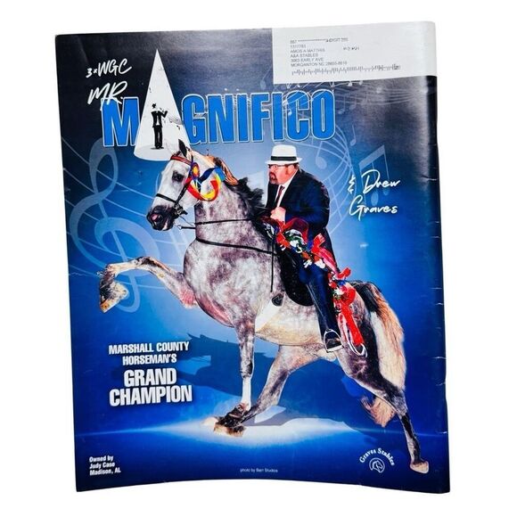 The Walking Horse Report -July 31, 2023 Red Carpet Show of the South Grand Champ - Picture 3 of 6